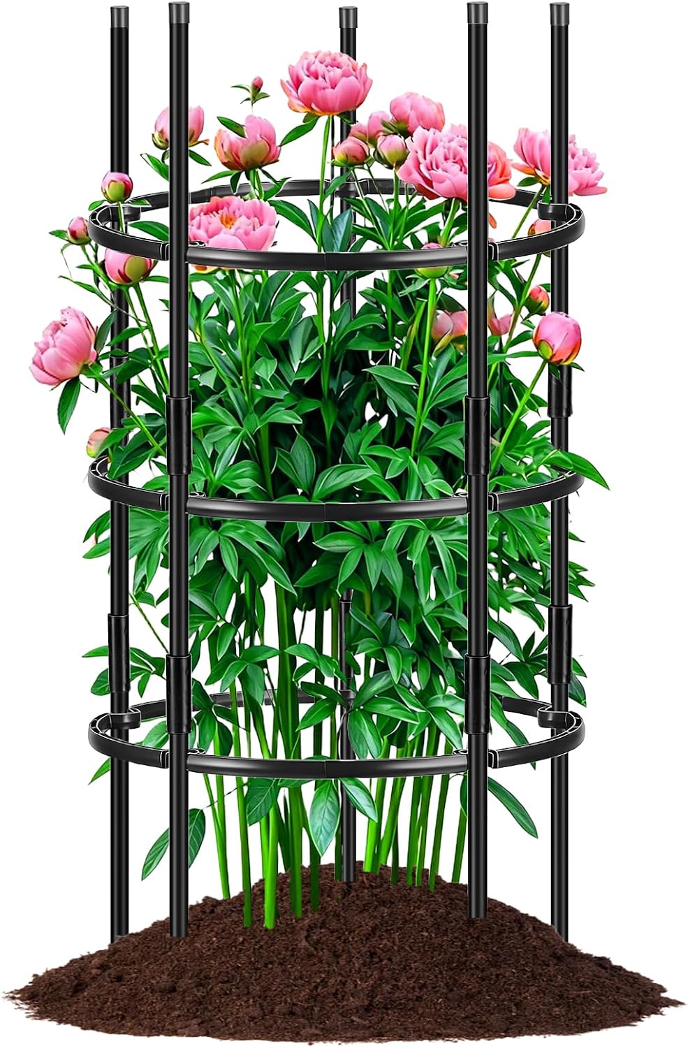 19.5" D x 39" H Peony Plant Support Cage,3-Tier Stackable