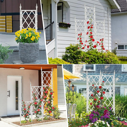 63 Inch Black Metal Pipe Garden Trellis Support Fence Frame for Climbing