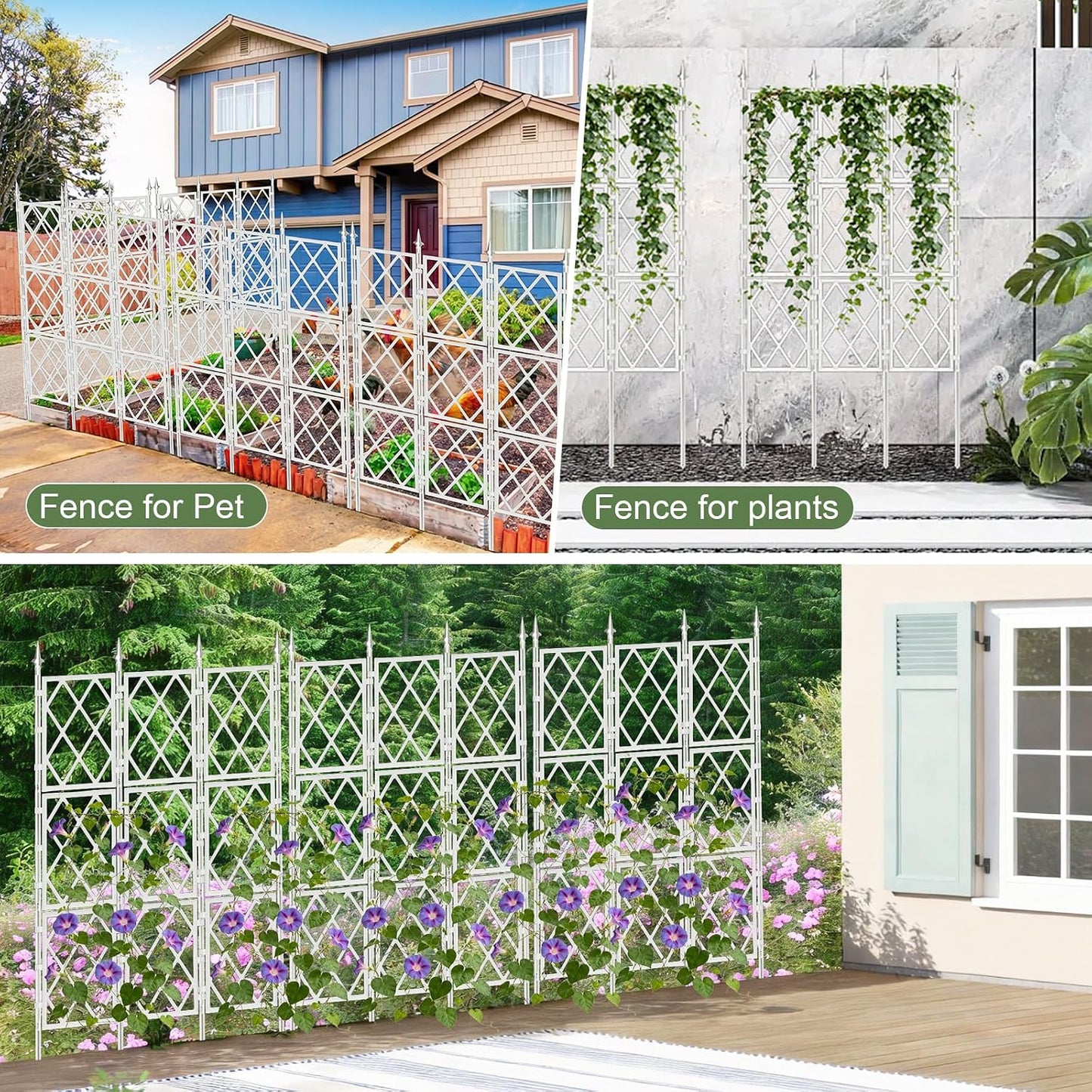 63 Inch Black Metal Pipe Garden Trellis Support Fence Frame for Climbing
