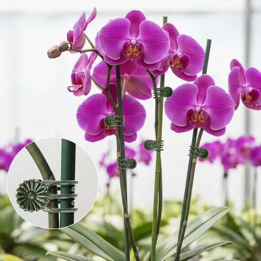 Plant Clips Orchid Clips 60PCS Plant Clips for Climbing Green Plants Orchid Clips for Plants Support Garden Clips Plant Support Clips Vine Clips Plant Clips for Outdoor Plants Support Stem Vines Stalk