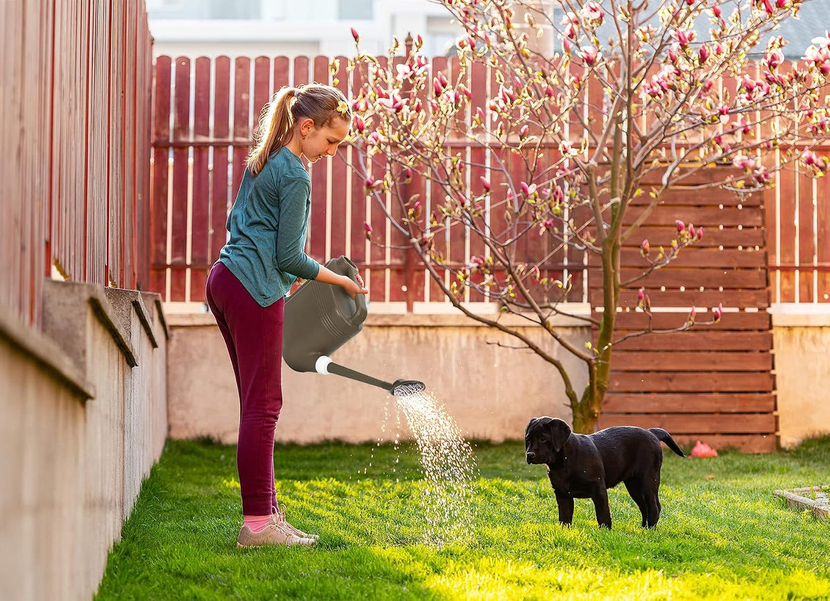 1.5 Gallon Watering Can for Outdoor & Indoor Plants, Large Garden Watering Pot with Lightweight and 5.5L Capacity, Plastic Watering Can with Long Spout and Metal Removable Sprinkler Head - Aquamarine