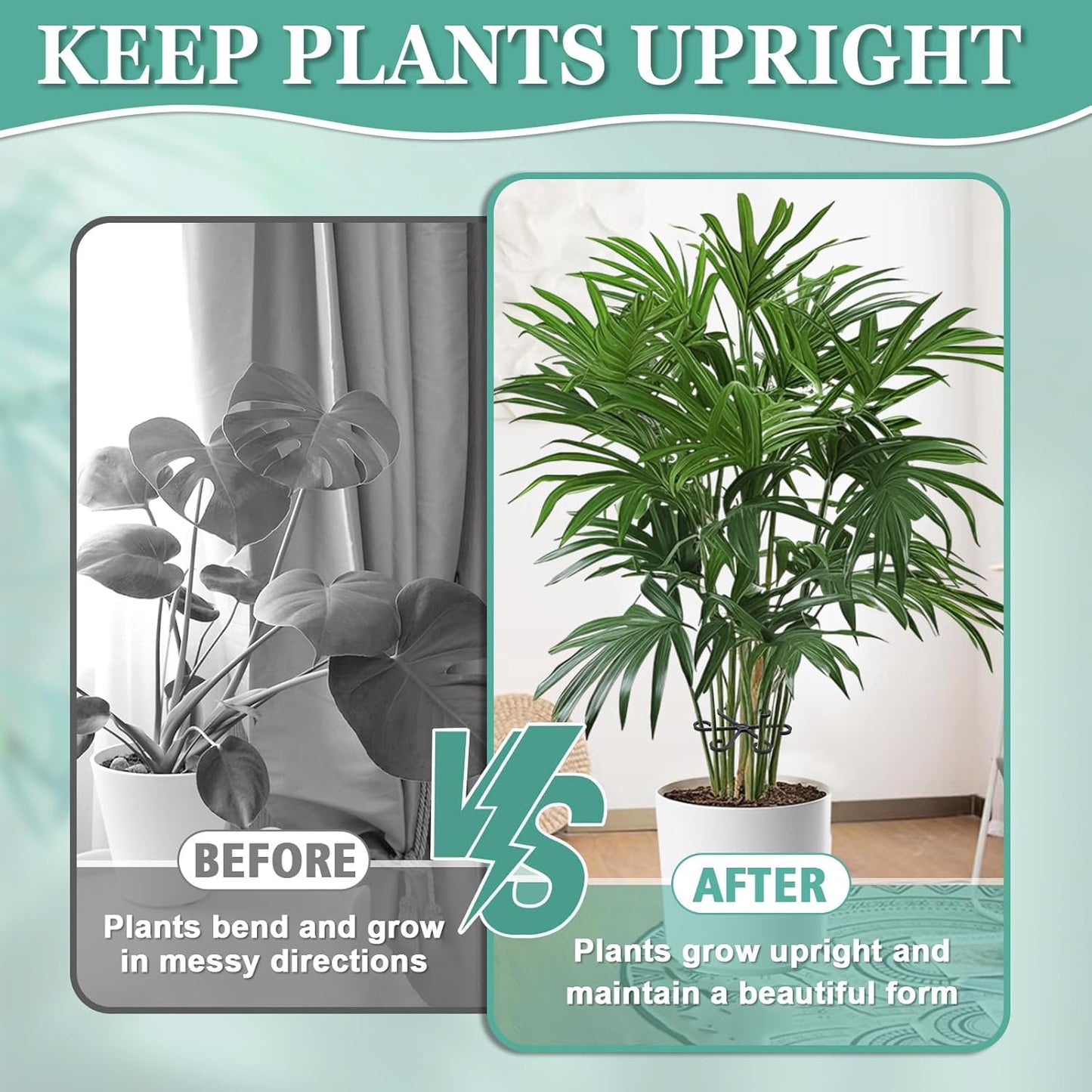 8PCS Plant Stem Support, Monstera Plant Support Clips for Indoor Plants