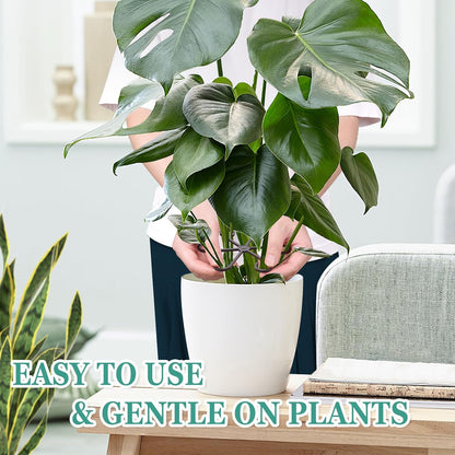 8PCS Plant Stem Support, Monstera Plant Support Clips for Indoor Plants