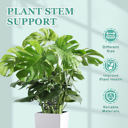 8PCS Plant Stem Support, Monstera Plant Support Clips for Indoor Plants