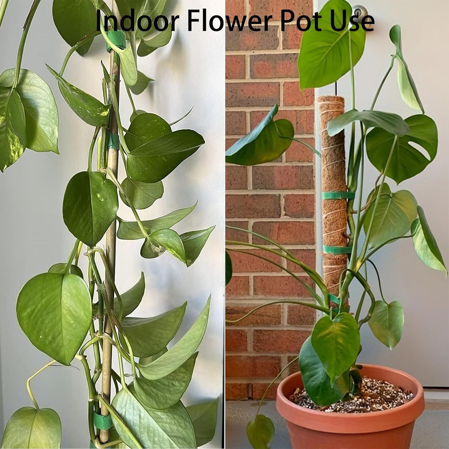 Plant Tape for Supporting Plants - 1/2" x 66ft Reusable Soft Garden Tie