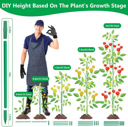 80 Pack Garden Stakes(16" Each), Plant Support Stakes, DIY 4ft 5ft 6ft 7ft Sturdy Fiberglass Plant Sticks Support Garden Trellis for Growing Climbing Tomato Vegetables Flowers
