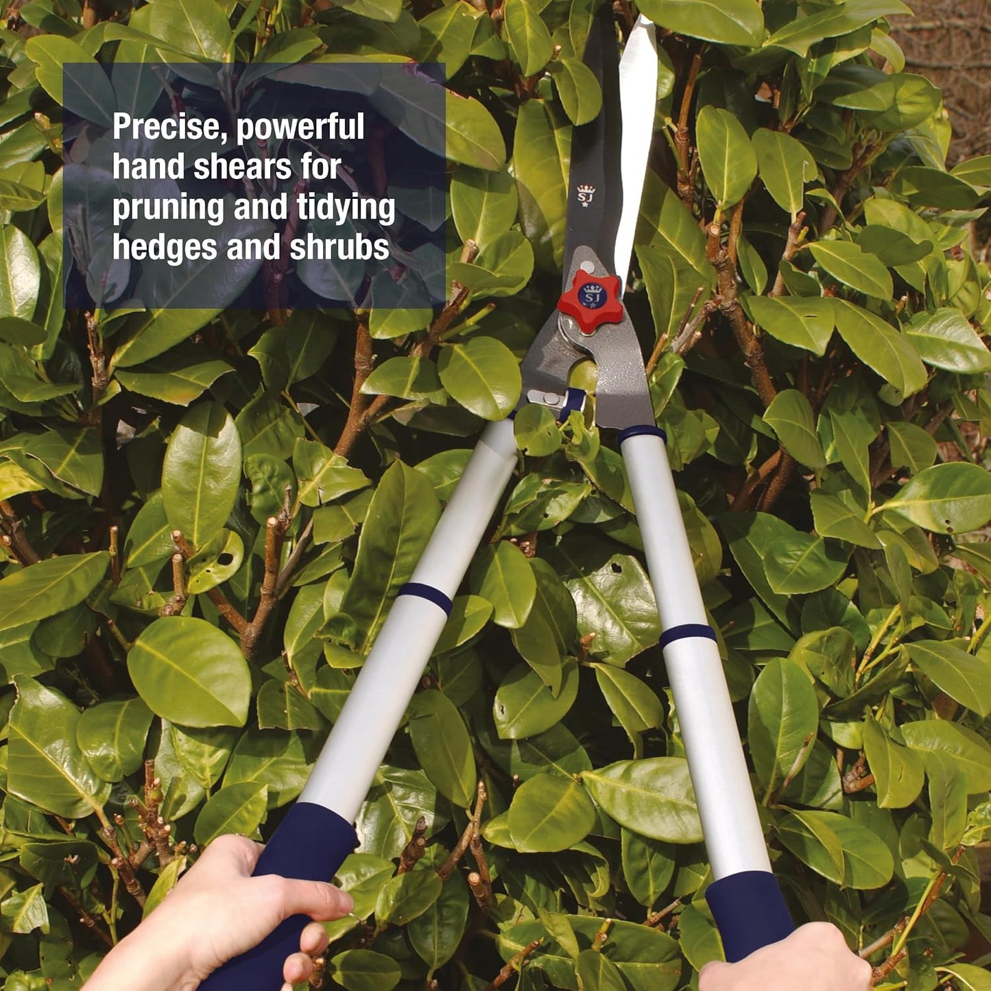 Razorsharp Telescopic Hedge Shears, Adjustable Length, Carbon Steel Blades, Ergonomic Handles for Comfortable Pruning