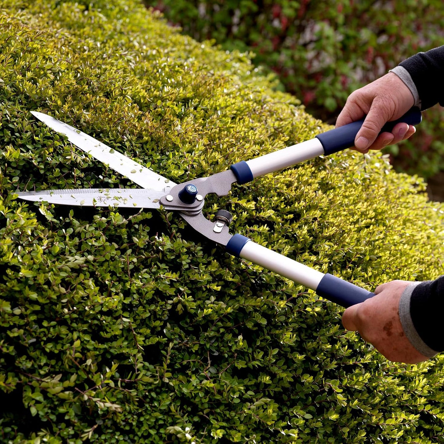 Razorsharp Telescopic Hedge Shears, Adjustable Length, Carbon Steel Blades, Ergonomic Handles for Comfortable Pruning