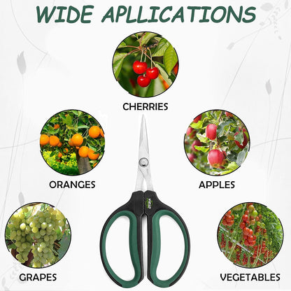 Hydroponic 2-Pack Bonsai Scissors and Plant Trimming Shears Set - Stainless Steel Pruning Shears for Indoor Gardening, Succulent Harvest, and Precision Plant Care