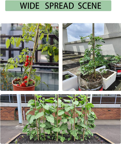 4 Ft Bamboo Stakes with 100 Twist Ties Natural Bamboo Garden Stakes for Tomatoes Cucumber Grapes Pole Beans Trees Potted Dahlia Flowers and Climbing Plants - Pack of 25