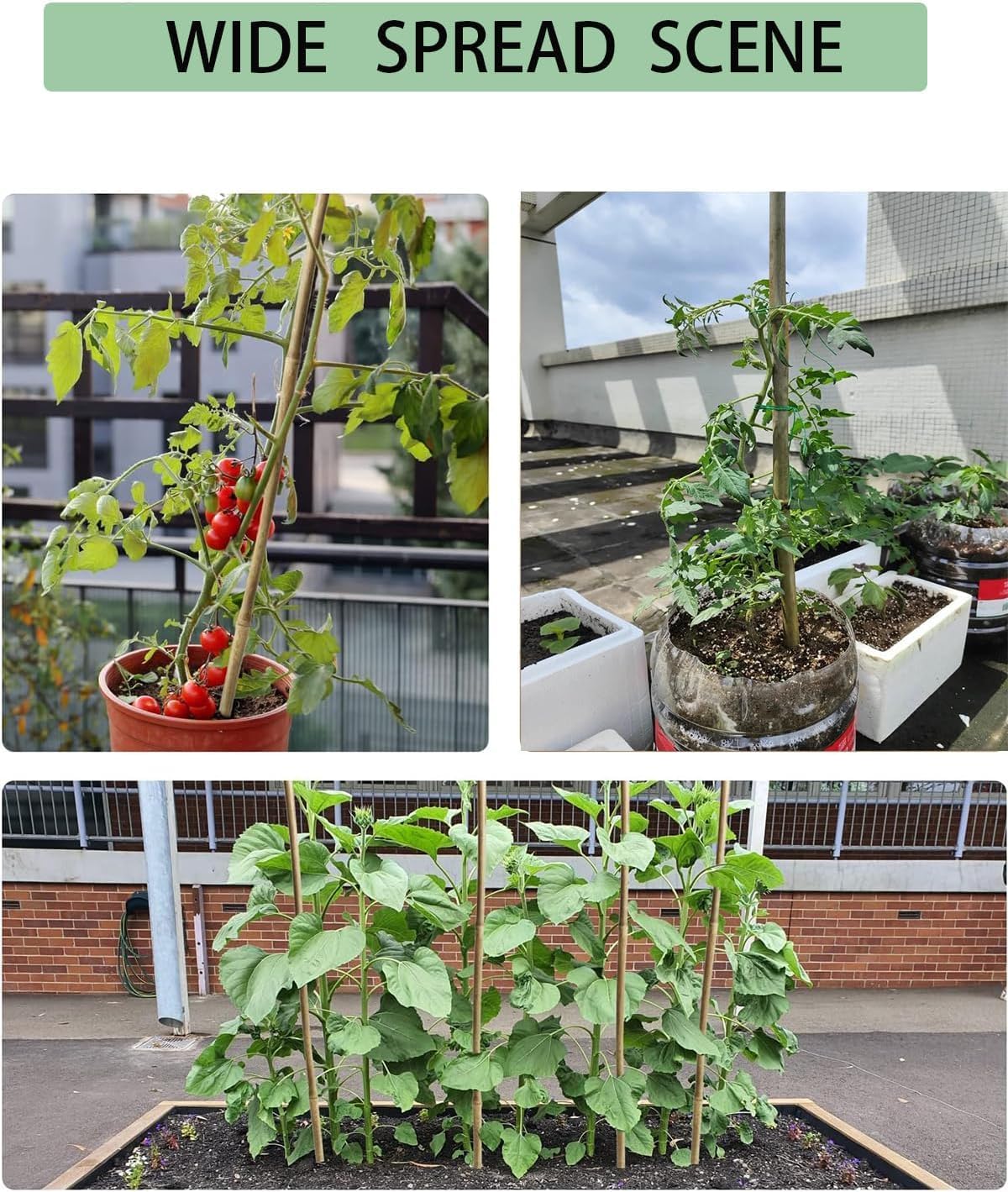 4 Ft Bamboo Stakes with 100 Twist Ties Natural Bamboo Garden Stakes for Tomatoes Cucumber Grapes Pole Beans Trees Potted Dahlia Flowers and Climbing Plants - Pack of 25