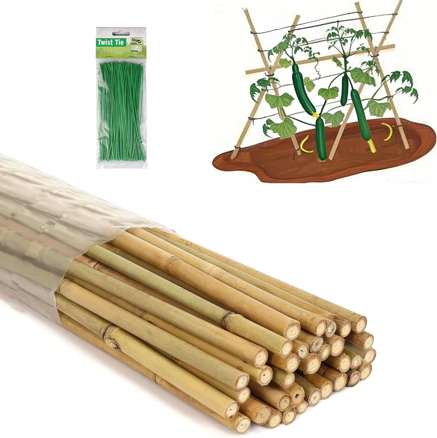 4 Ft Bamboo Stakes with 100 Twist Ties Natural Bamboo Garden Stakes for Tomatoes Cucumber Grapes Pole Beans Trees Potted Dahlia Flowers and Climbing Plants - Pack of 25