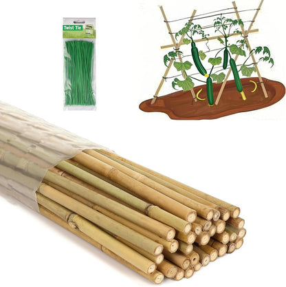 4 Ft Bamboo Stakes with 100 Twist Ties Natural Bamboo Garden Stakes for Tomatoes Cucumber Grapes Pole Beans Trees Potted Dahlia Flowers and Climbing Plants - Pack of 25