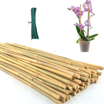 4 Ft Bamboo Stakes with 100 Twist Ties Natural Bamboo Garden Stakes for Tomatoes Cucumber Grapes Pole Beans Trees Potted Dahlia Flowers and Climbing Plants - Pack of 25