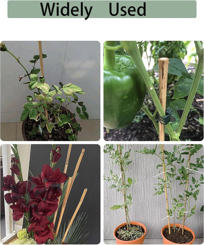 4 Ft Bamboo Stakes with 100 Twist Ties Natural Bamboo Garden Stakes for Tomatoes Cucumber Grapes Pole Beans Trees Potted Dahlia Flowers and Climbing Plants - Pack of 25