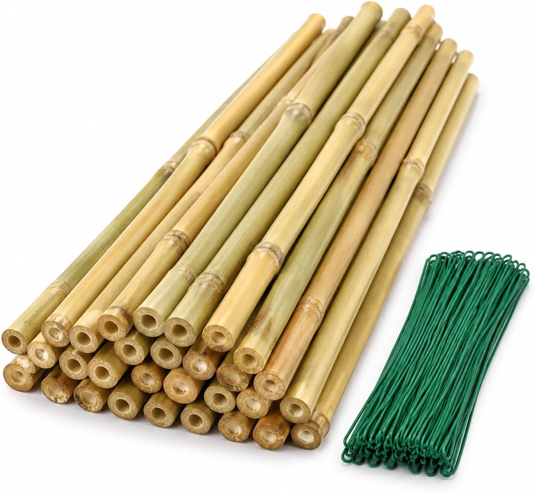 4 Ft Bamboo Stakes with 100 Twist Ties Natural Bamboo Garden Stakes for Tomatoes Cucumber Grapes Pole Beans Trees Potted Dahlia Flowers and Climbing Plants - Pack of 25