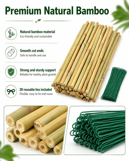 4 Ft Bamboo Stakes with 100 Twist Ties Natural Bamboo Garden Stakes for Tomatoes Cucumber Grapes Pole Beans Trees Potted Dahlia Flowers and Climbing Plants - Pack of 25