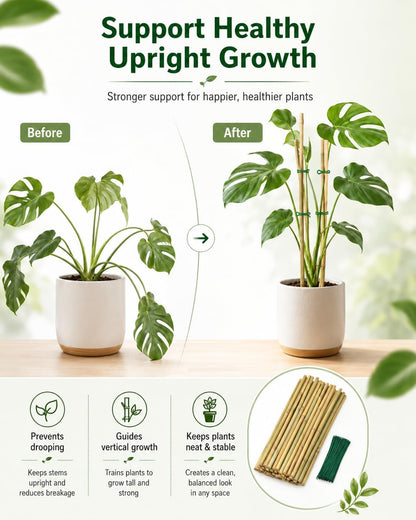 4 Ft Bamboo Stakes with 100 Twist Ties Natural Bamboo Garden Stakes for Tomatoes Cucumber Grapes Pole Beans Trees Potted Dahlia Flowers and Climbing Plants - Pack of 25