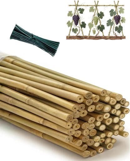 4 Ft Bamboo Stakes with 100 Twist Ties Natural Bamboo Garden Stakes for Tomatoes Cucumber Grapes Pole Beans Trees Potted Dahlia Flowers and Climbing Plants - Pack of 25