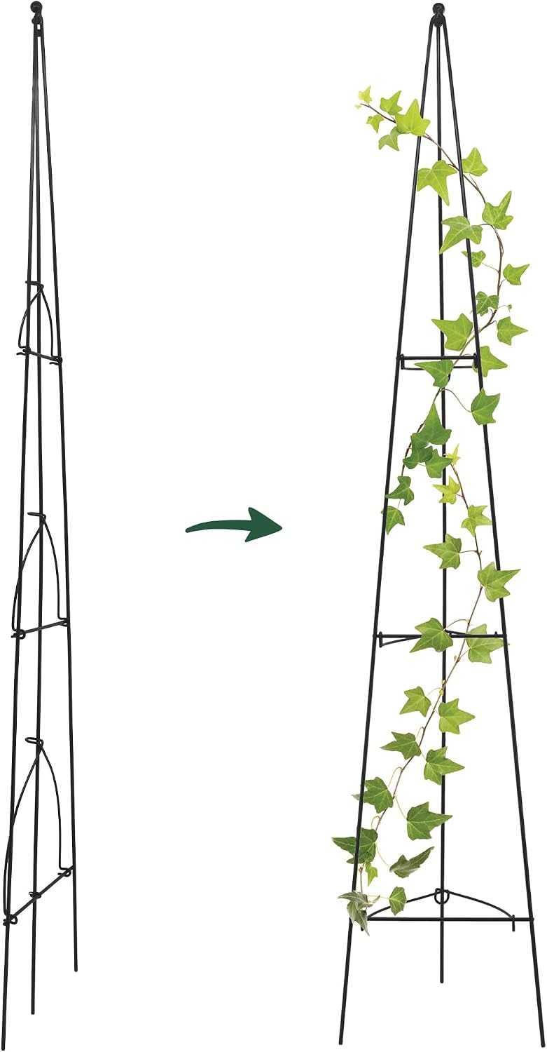 – No Assembly Required – 3 ft Folding Metal Obelisk Trellis for Climbing Plants – Plastic-Coated Grow Support for Indoor Outdoor Flowers, Vegetables, Vines, Ivy