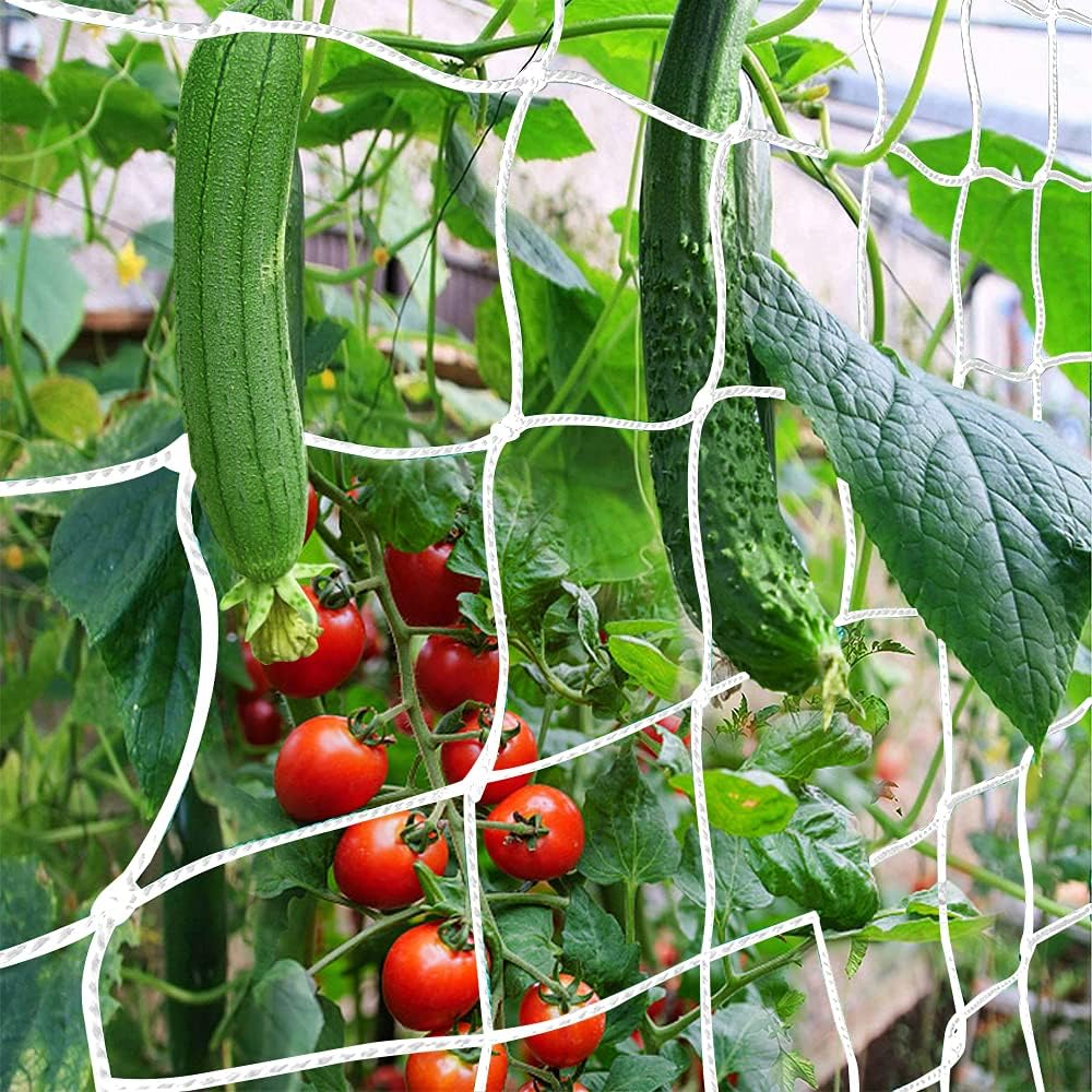 Trellis Netting, Heavy-Duty Garden Plant Trellis Netting for Climbing Plants, Outdoor Indoor Grow Net for Beans Tomatoes Peas Pumpkin Flowers, 6x30ft, 1 Pack
