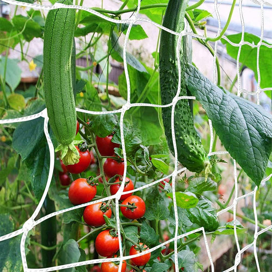 Trellis Netting, Heavy-Duty Garden Plant Trellis Netting for Climbing Plants, Outdoor Indoor Grow Net for Beans Tomatoes Peas Pumpkin Flowers, 6x30ft, 1 Pack