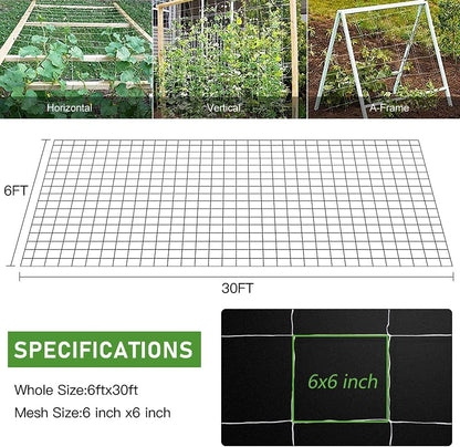 Trellis Netting, Heavy-Duty Garden Plant Trellis Netting for Climbing Plants, Outdoor Indoor Grow Net for Beans Tomatoes Peas Pumpkin Flowers, 6x30ft, 1 Pack