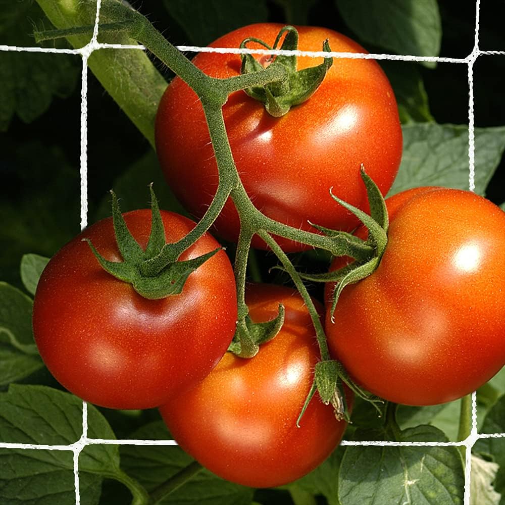 Trellis Netting, Heavy-Duty Garden Plant Trellis Netting for Climbing Plants, Outdoor Indoor Grow Net for Beans Tomatoes Peas Pumpkin Flowers, 6x30ft, 1 Pack
