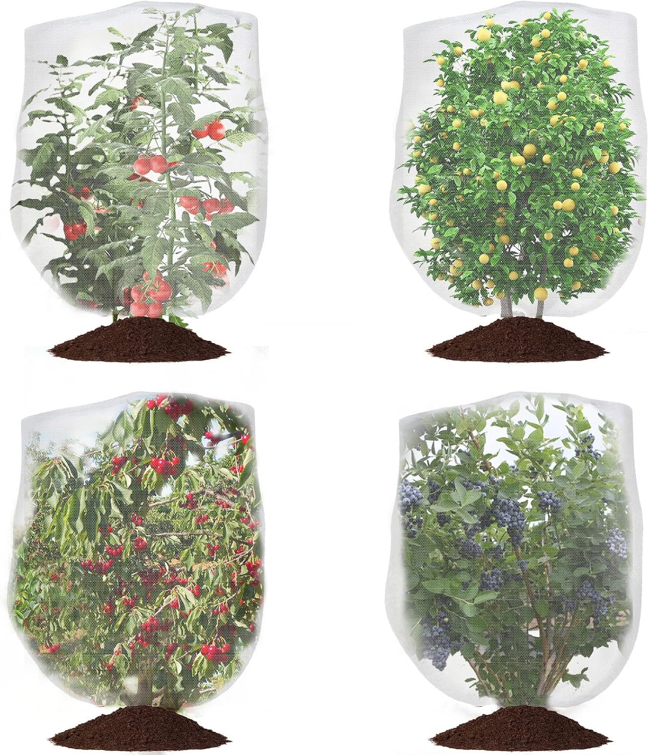 Trellis Netting, Heavy-Duty Garden Plant Trellis Netting for Climbing Plants, Outdoor Indoor Grow Net for Beans Tomatoes Peas Pumpkin Flowers, 6x30ft, 1 Pack