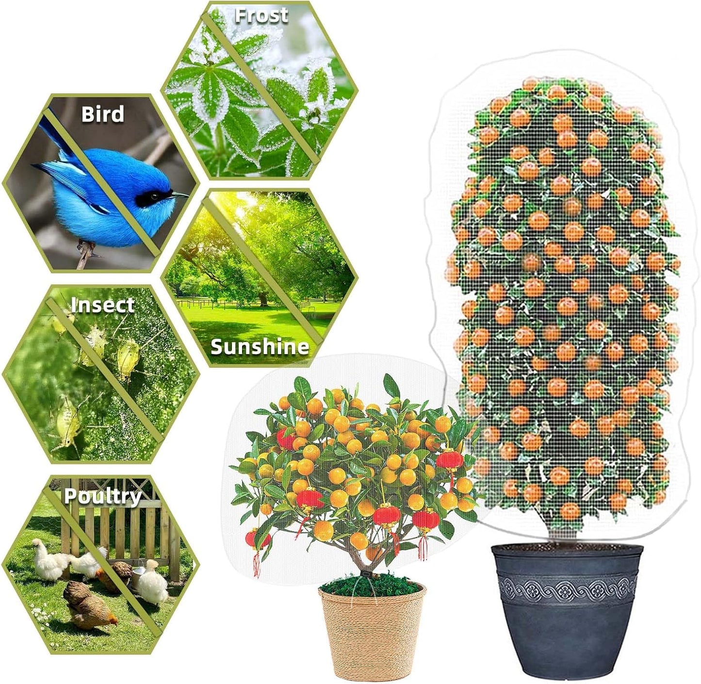 Trellis Netting, Heavy-Duty Garden Plant Trellis Netting for Climbing Plants, Outdoor Indoor Grow Net for Beans Tomatoes Peas Pumpkin Flowers, 6x30ft, 1 Pack