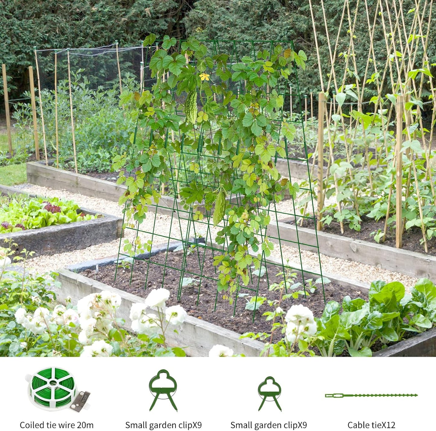 Cucumber Trellis 2 Pack, 59" H Foldable A-Frame Garden Trellis