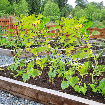 Cucumber Trellis 2 Pack, 59" H Foldable A-Frame Garden Trellis
