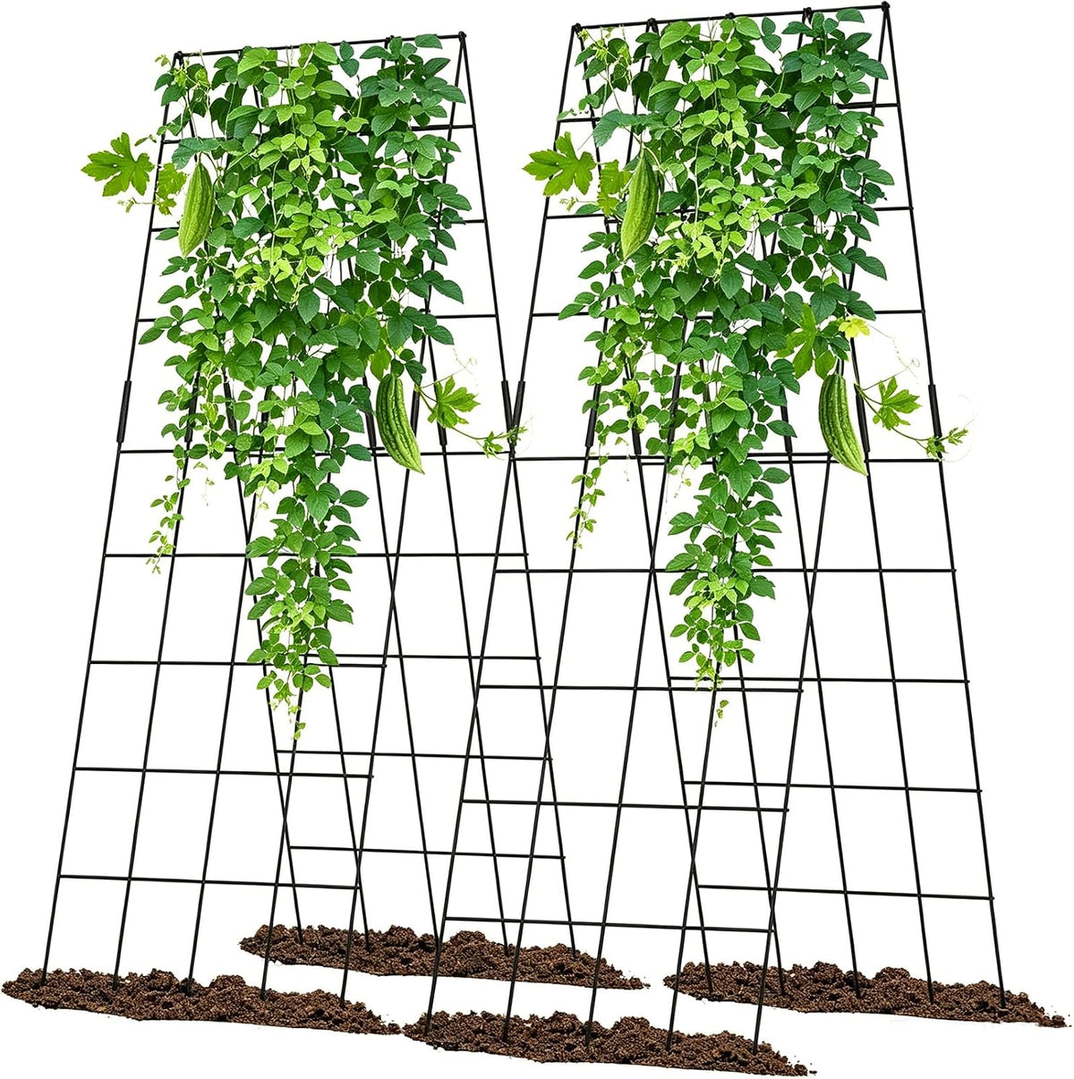 Cucumber Trellis 2 Pack, 59" H Foldable A-Frame Garden Trellis