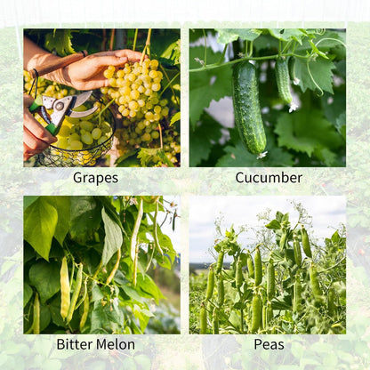 Cucumber Trellis 2 Pack, 59" H Foldable A-Frame Garden Trellis