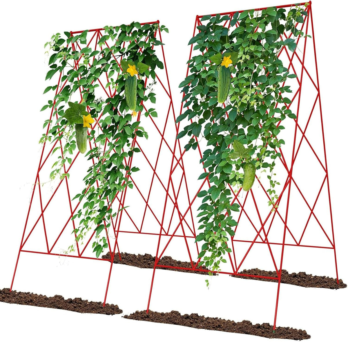 Cucumber Trellis 2 Pack, 59" H Foldable A-Frame Garden Trellis