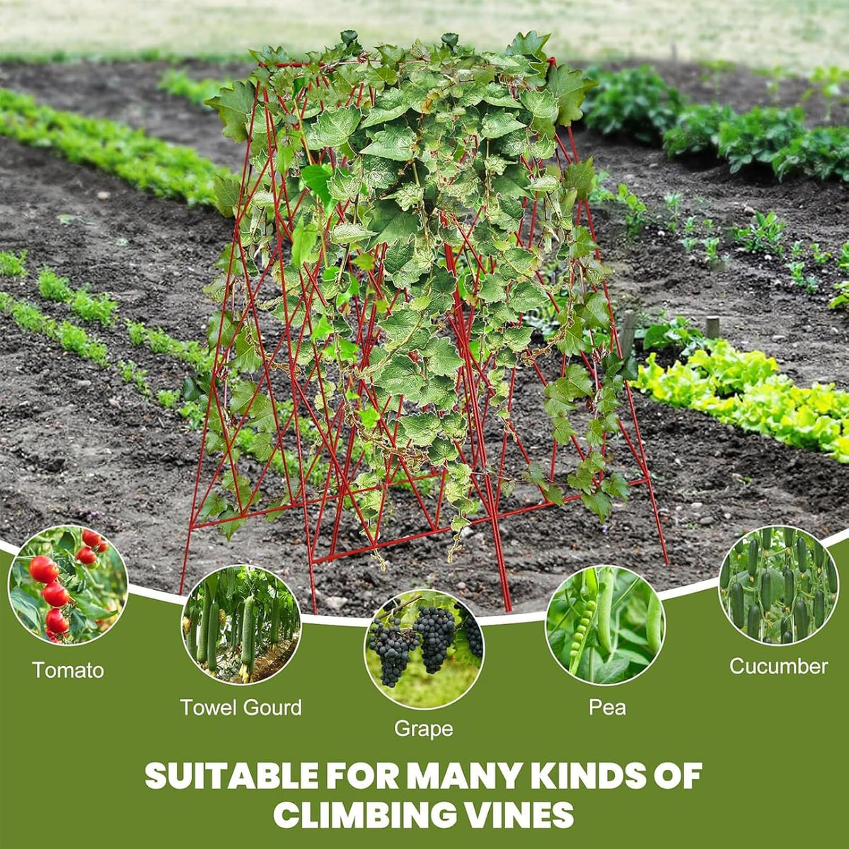 Cucumber Trellis 2 Pack, 59" H Foldable A-Frame Garden Trellis