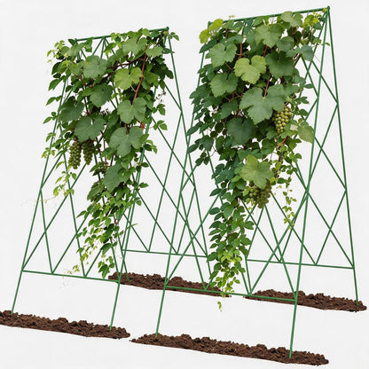Cucumber Trellis 2 Pack, 59" H Foldable A-Frame Garden Trellis