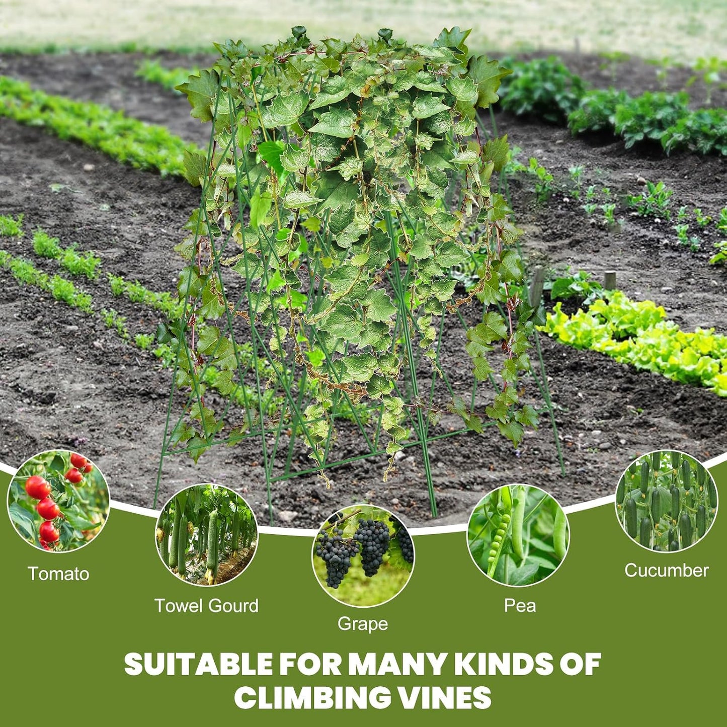 Cucumber Trellis 2 Pack, 59" H Foldable A-Frame Garden Trellis