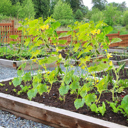 Cucumber Trellis 2 Pack, 59" H Foldable A-Frame Garden Trellis