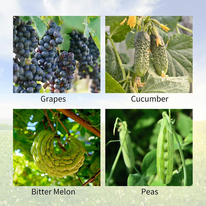 Cucumber Trellis 2 Pack, 59" H Foldable A-Frame Garden Trellis