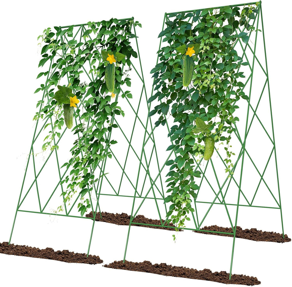Cucumber Trellis 2 Pack, 59" H Foldable A-Frame Garden Trellis