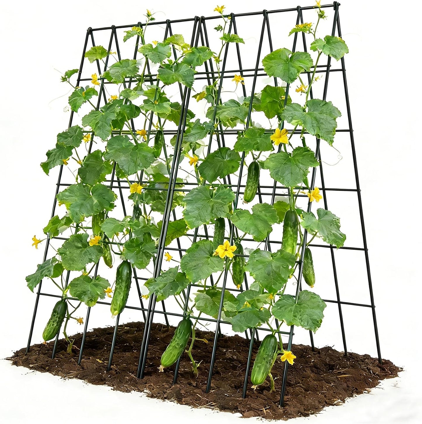 Cucumber Trellis 2 Pack, 59" H Foldable A-Frame Garden Trellis