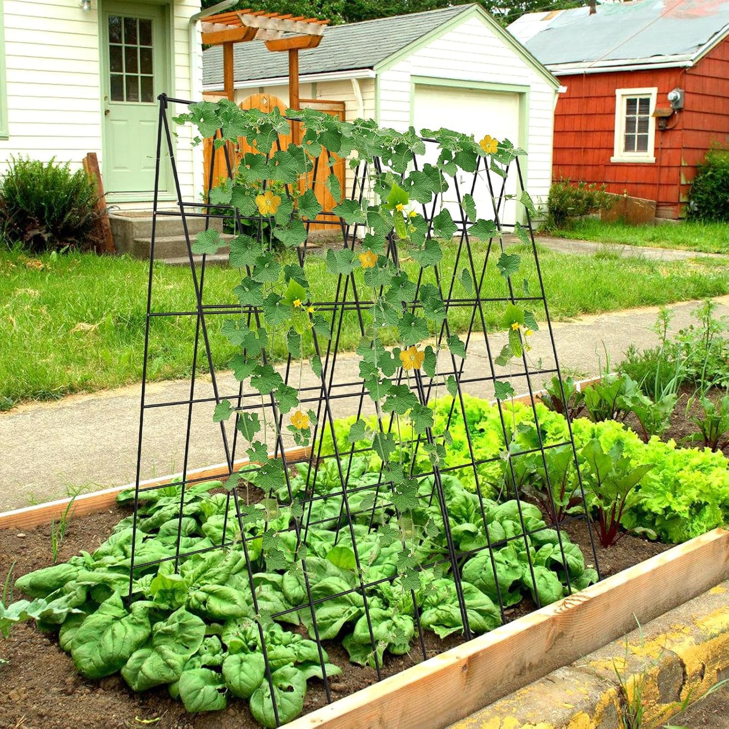 Cucumber Trellis 2 Pack, 59" H Foldable A-Frame Garden Trellis