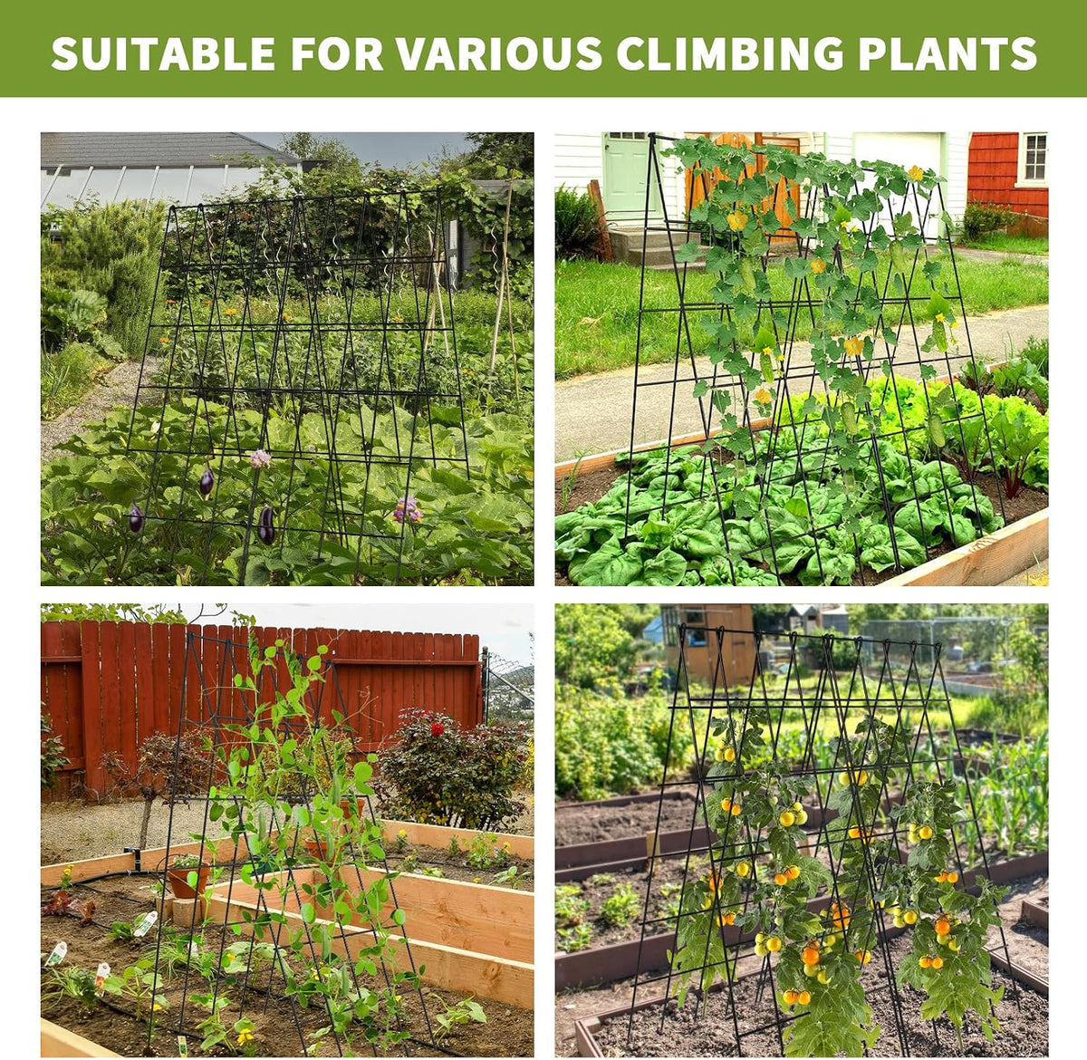 Cucumber Trellis 2 Pack, 59" H Foldable A-Frame Garden Trellis