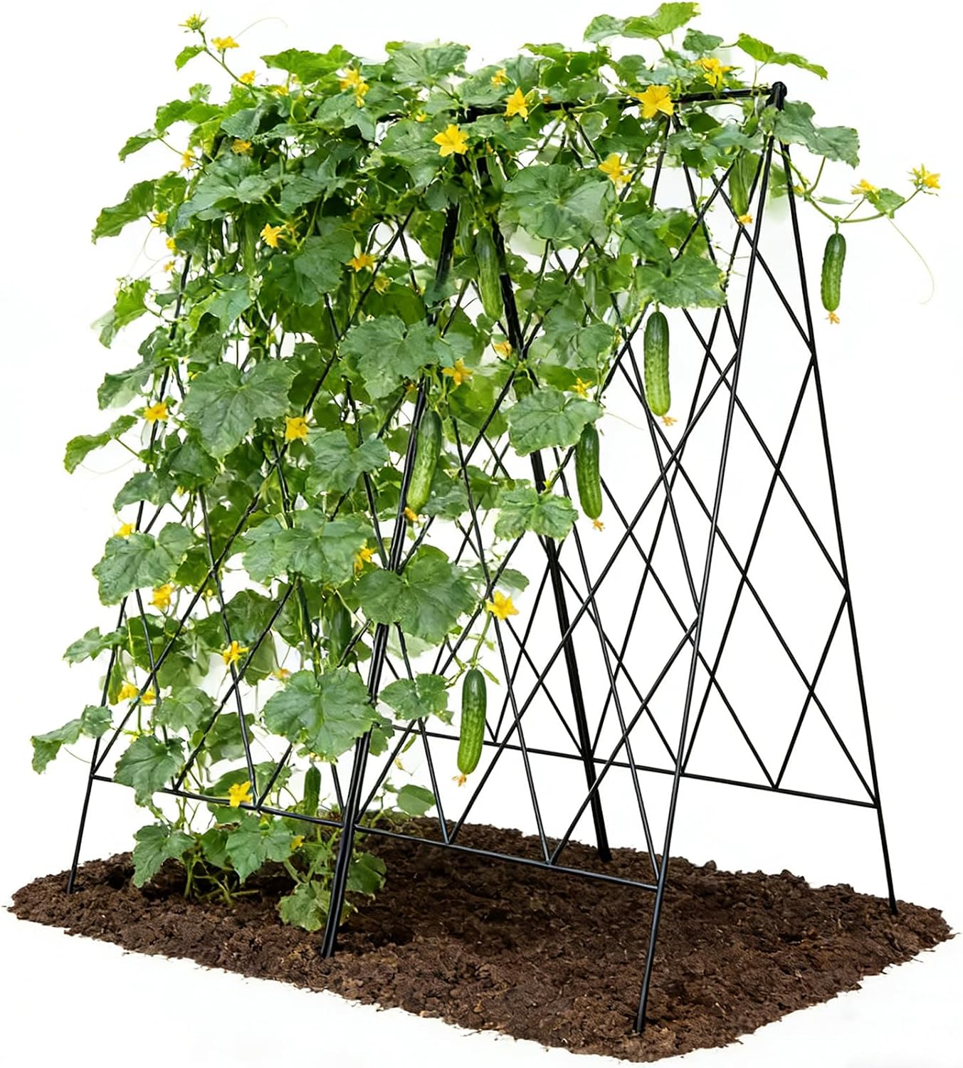 Cucumber Trellis 2 Pack, 59" H Foldable A-Frame Garden Trellis