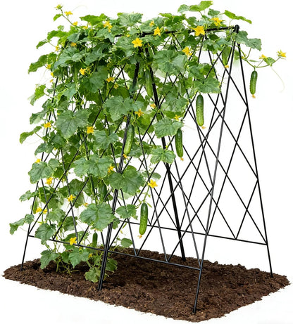 Cucumber Trellis 2 Pack, 59" H Foldable A-Frame Garden Trellis