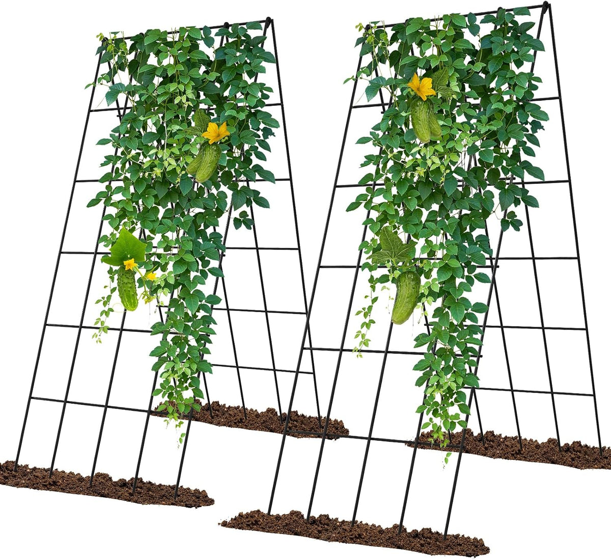 Cucumber Trellis 2 Pack, 59" H Foldable A-Frame Garden Trellis