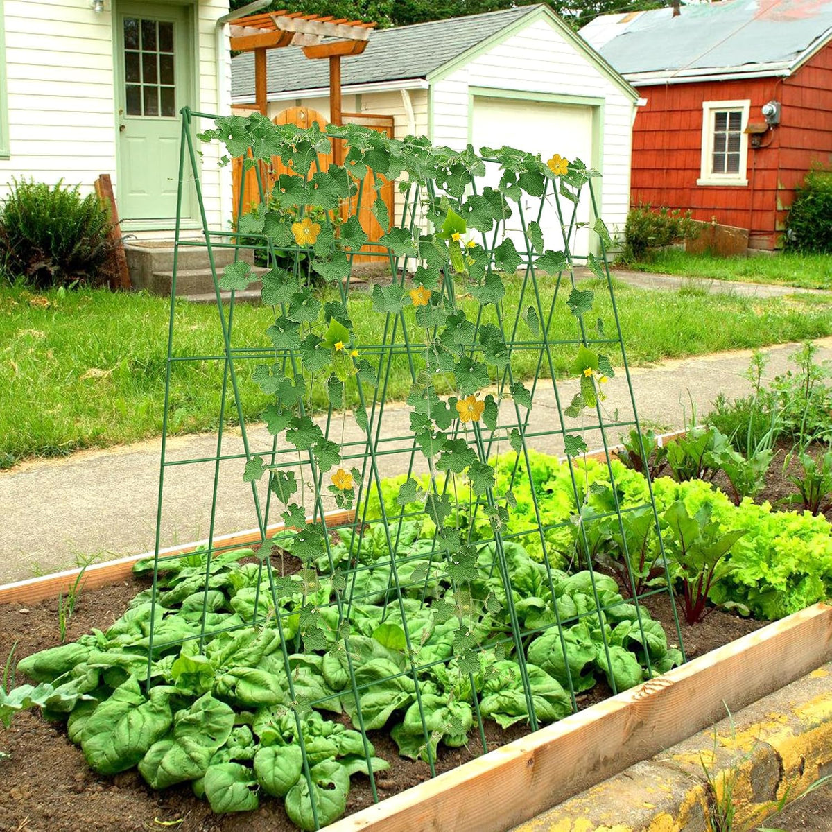 Cucumber Trellis 2 Pack, 59" H Foldable A-Frame Garden Trellis