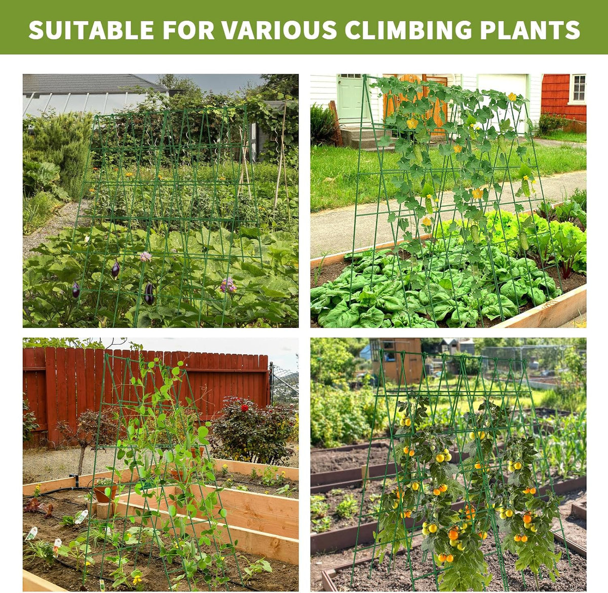 Cucumber Trellis 2 Pack, 59" H Foldable A-Frame Garden Trellis
