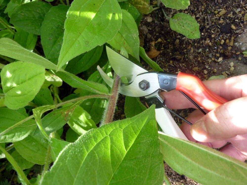 101 7-inch Bypass Pruners, Small (One Pack)